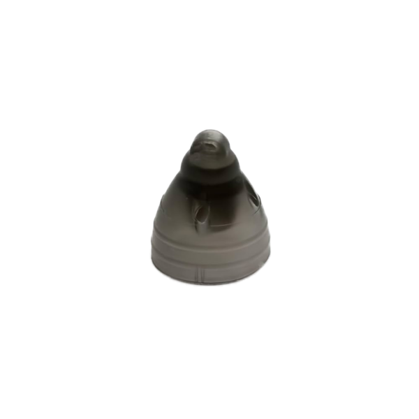 Hearing Aid Domes